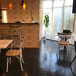 Feng Shui Wellness