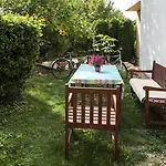 Feng Shui Wellness