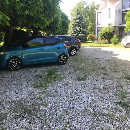 Feng Shui Wellness *