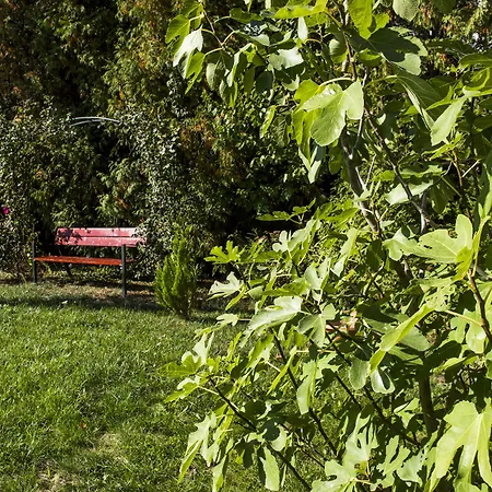 דירה Feng Shui Wellness Apartmanhaz