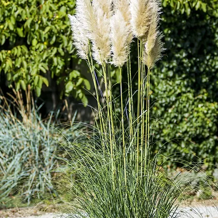 Feng Shui Wellness Hévíz