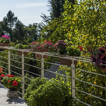 Feng Shui Wellness *