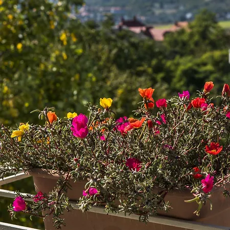 Lejlighed Feng Shui Wellness Apartmanhaz Hévíz