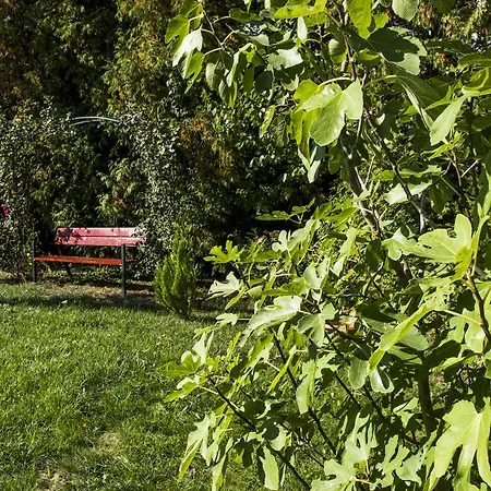 Apartment Feng Shui Wellness Apartmanhaz Heviz *