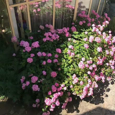דירה Feng Shui Wellness Apartmanhaz *