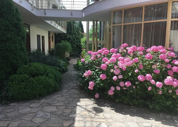赫维兹风水健康公寓酒店 公寓 *